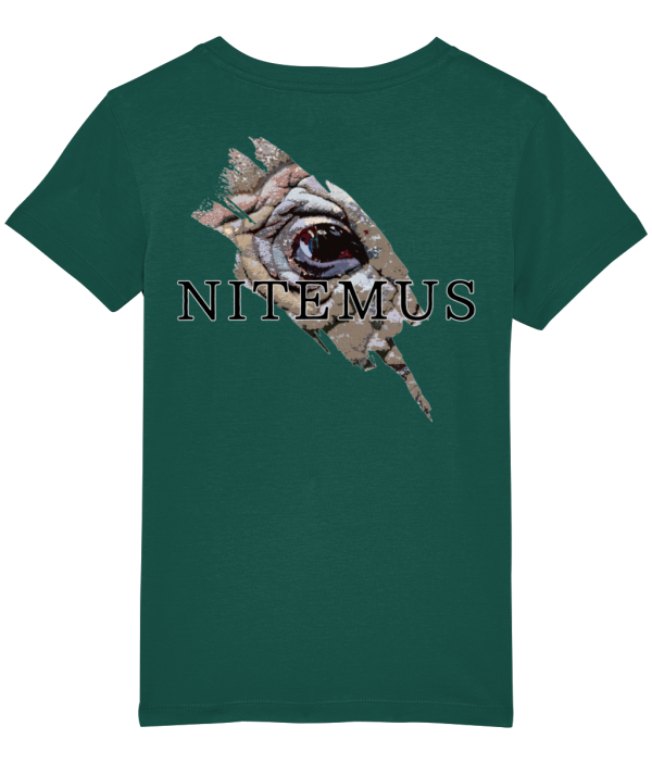NITEMUS - Kids - T-shirt – Sumatran Rhino - Glazed Green – from 3 years old to 14 years old