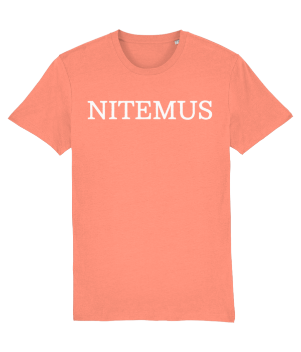 NITEMUS - Unisex - Vintage T-shirt - NITEMUS - G. Dyed Aged Rose Clay – from size XS to size 2XL